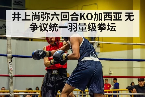 井上尚弥六回合KO加西亚 无争议统一羽量级拳坛